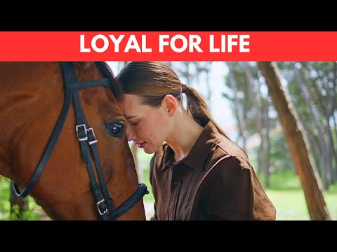 چرا اسب ها وفادارترین حیوانات هستند