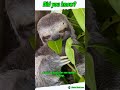 This Animal Risks Its Life… Just to Poop 😭