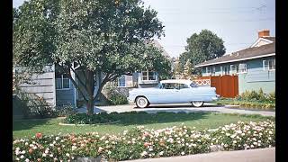 Johnny Rebel - Pork & Bean Blues