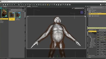 No fur or hair preview in the viewport DAZ