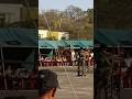 indian army dog training 🔥🇮🇳#shorts #army #viral #trending