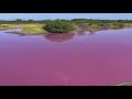 Pink Pond Mystery In Hawaii 