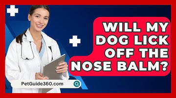 Will My Dog Lick Off The Nose Balm? - PetGuide360.com