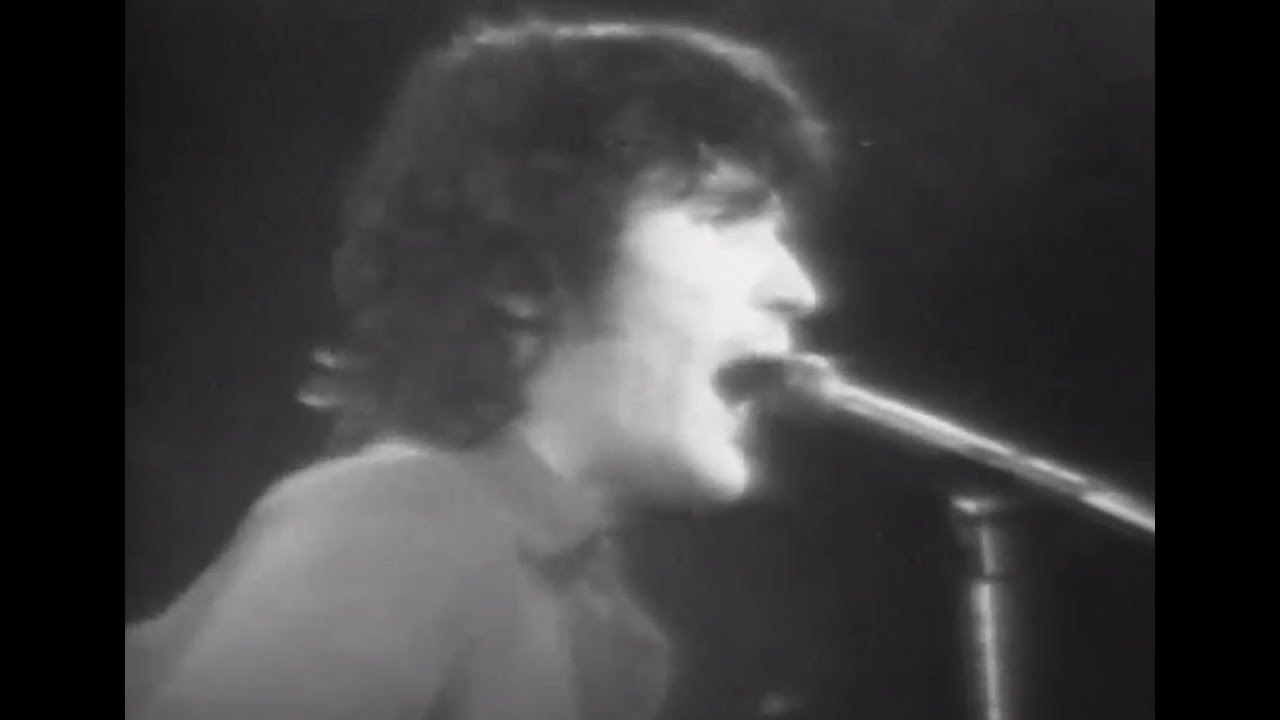 Rick Danko - Full Concert - 12/17/77 - Capitol Theatre