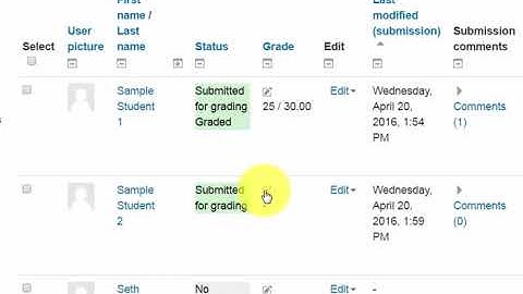 Grading A Moodle Assignment Using  A Rubric