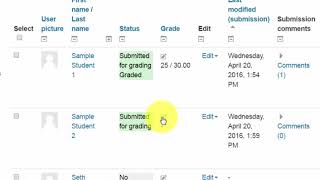 Grading A Moodle Assignment Using  A Rubric Wealth