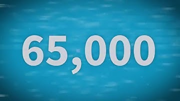 Identify, prioritize, fix with Software Vulnerability Manager