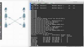 VXLAN Anycast RP DEMO 8