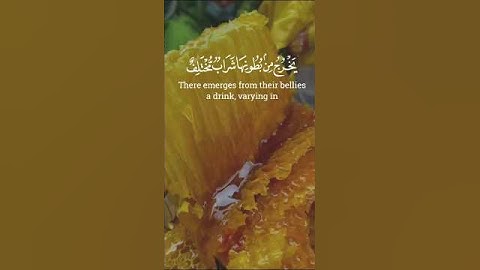 #القران{ سورة النحل} يخرج من بطونها شراب مختلف الوانه:#hafiz #imran #ahmad #rashadi #explore