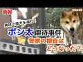 【虐待】″ポン太 虐待事件″ その後、警察の捜査はどうなった？神奈川県警伊勢原警察署に聞きました