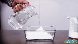 Cornstarch and Water Experiment  Science Projects for Kids | Educational Videos by Mocomi