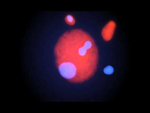 Abell 2744 Simulation Galaxy Cluster Collision