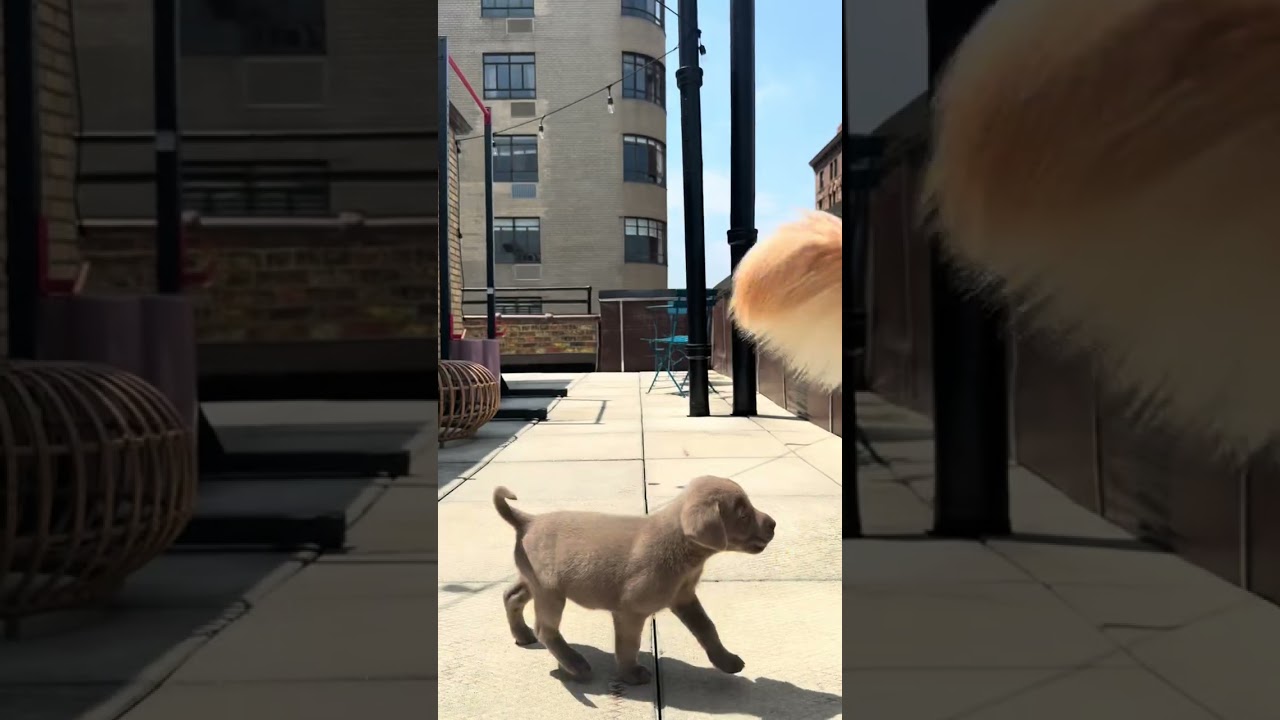 🚨 NEW CLIENT ALERT 🚨