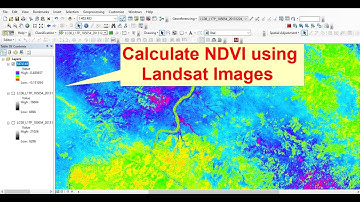 Calculate NDVI from Landsat image in ArcGIS