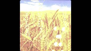 Telepop pq  H4 Lincertitude Dheisenbergrebassed