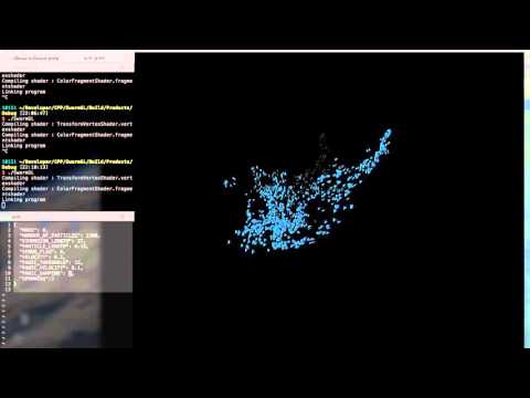 Swarm simulation with OpenGL (Tom Bisson, Pascal Weiß)