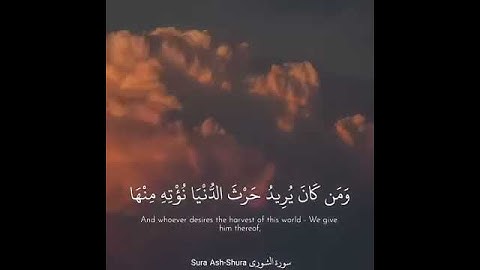 سورة الشورى ، اسلام صبحي