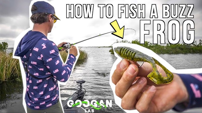 ZOOM Frog Catches BIGGIN' in the Rain! (Easy Bank Fishing) 