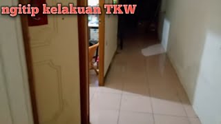 Hotel Murah di Kota Batu mulai 100rb - Review Lengkap Nuansa JEPANG [Kontena Hotel]