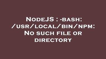 NodeJS : -bash: /usr/local/bin/npm: No such file or directory