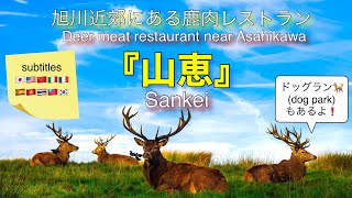 (20言語字幕)旭川近郊で、エゾ鹿肉