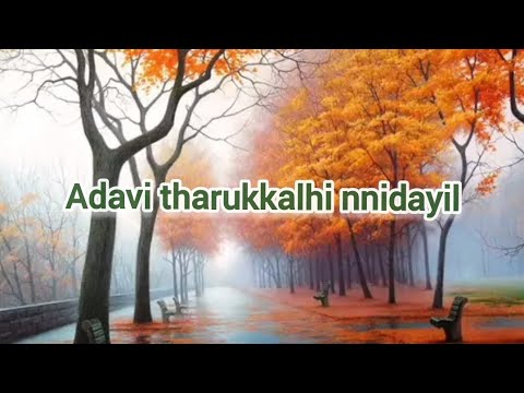 Adavi tharukkalin idayil  Malayalam Christian songs