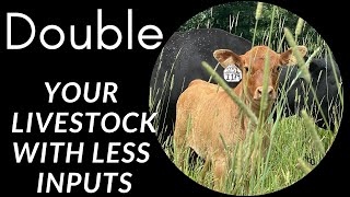 Double your livestock with less input just by the way you graze.