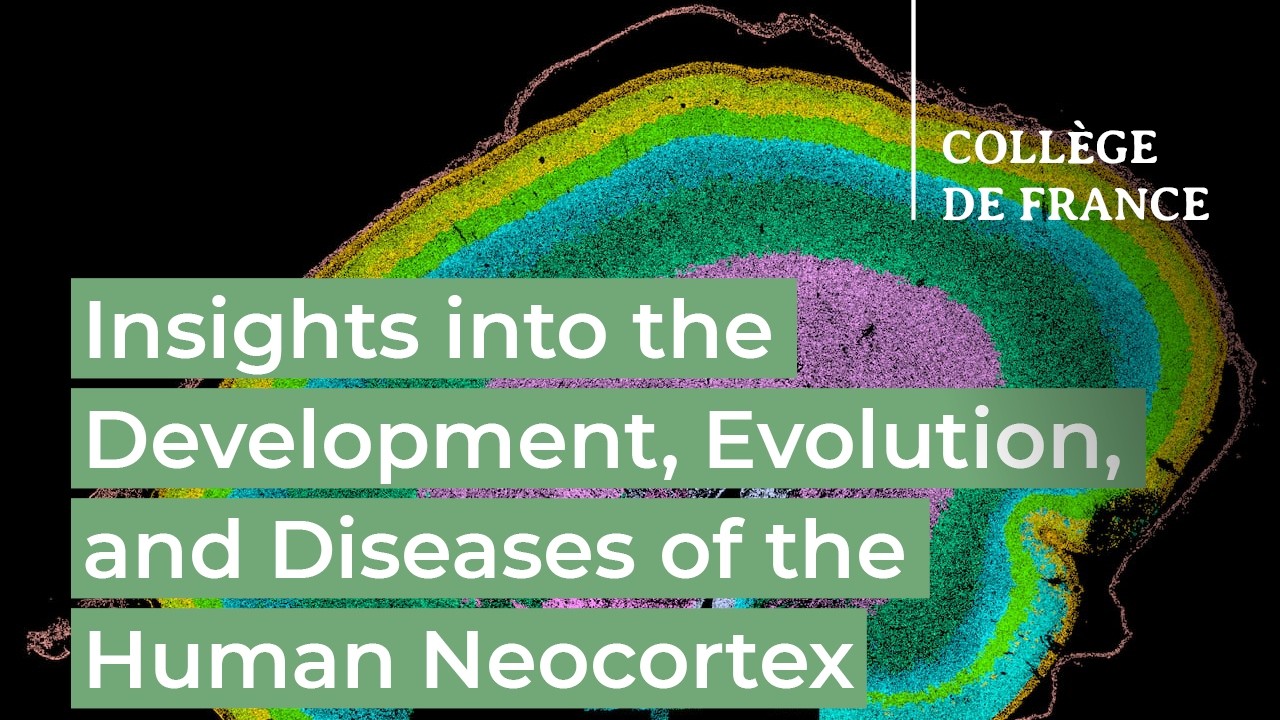 Genomic Insights into Human Brain Development, Evolution, and Disease - 2026-27 (1)
