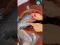 Amazing Telapia Fish Cutting Skills l 😍 l #shorts #viralshorts #fishcutting #telapia