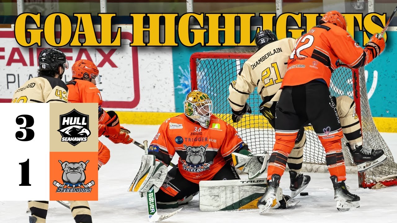 Видеообзор матча - Халл Сихокс 3:1 Шеффилд Стилдогс