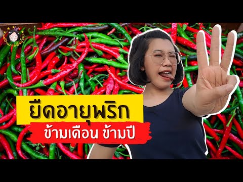 วีดีโอ: 4 วิธีในการทำกล้วยสปลิต