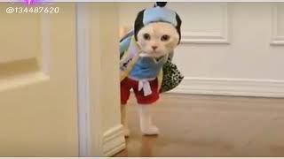 Kok sepi ya