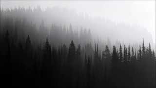 Woods of Ypres - The Allure of the Earth chords