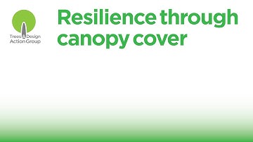 Resilience through canopy cover