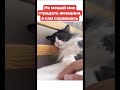 Не мешай мне страдать женщина, я сам справлюсь
