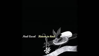 neal casal / debris