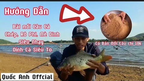 Câu Cá Chép Bằng Mồi Ngũ Cốc Kết Hợp Cám Và Khoai lang ủ Chua! | Quốc Anh Offcial Nhí CuTe