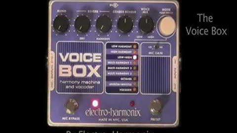 Electro-Harmonix - In Harmony- - Voice Box Video by Nataly and Jack - Vocal Harmony Machine- Vocoder