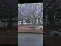 45 seconds | clouds and wind to rain