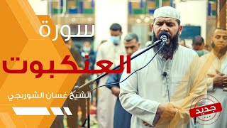 سورة العنكبوت غسان الشوربجي | تلاوة خاشعة هادئة - Surah Al Ankaboot Beautiful Recitation