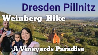 Dresden Pillnitz | Weinberg Hike | A Vineyards Paradise