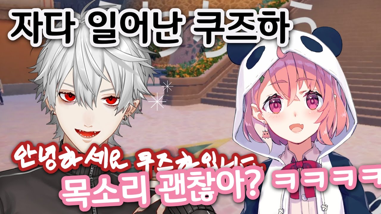 【쿠즈하/사사키 사쿠】 저녁 7시도 이른 초야행성 흡혈귀 【니지산지 클립】