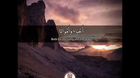 ما تيسر من سورة المرسلات SURAH AL-MURSALAT #عبدالولي_الاركاني #abdulwali_alarkani