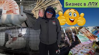 видео: Бизнес в ЛПХ. Как подготовить себя к продаже крольчатины. Business in LPH   How to prepare yourself. картинка: Бизнес в ЛПХ. Как подготовить себя к продаже крольчатины. Business in LPH   How to prepare yourself.