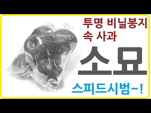 투명비닐속 사과 소묘 스피드시범