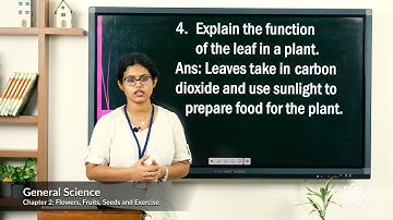 Grade 3 General Science Chapter 2 Class 3 Flowers, Fruits, Seeds and Exercise Part 2