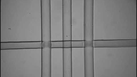 Actuation of multilayer soft lithography device