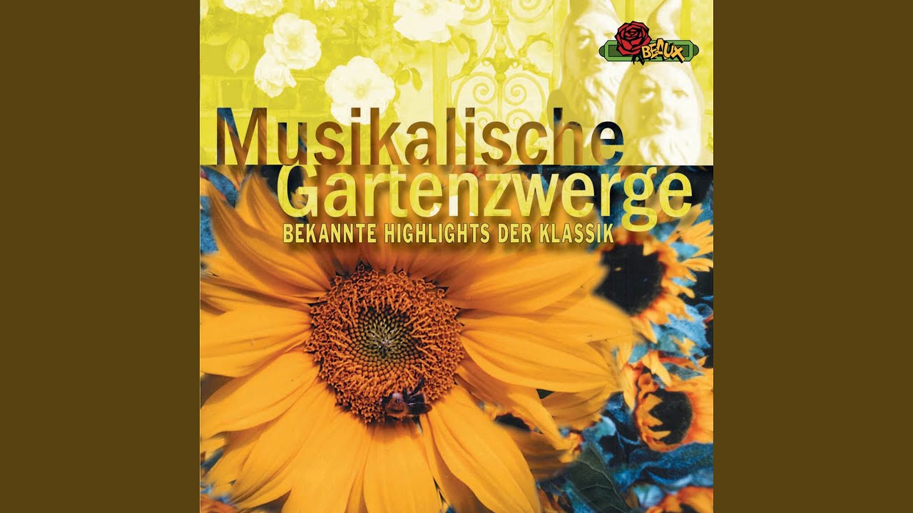 Symphony No. 40 in G Minor, K. 550 : I. Molto Allegro