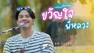 ขวัญใจพี่หลวง - Am seatwo (Live session @ ฟารินดา) Original : หลวงไก่