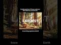 The Real Largest Living Thing on Earth #shorts
